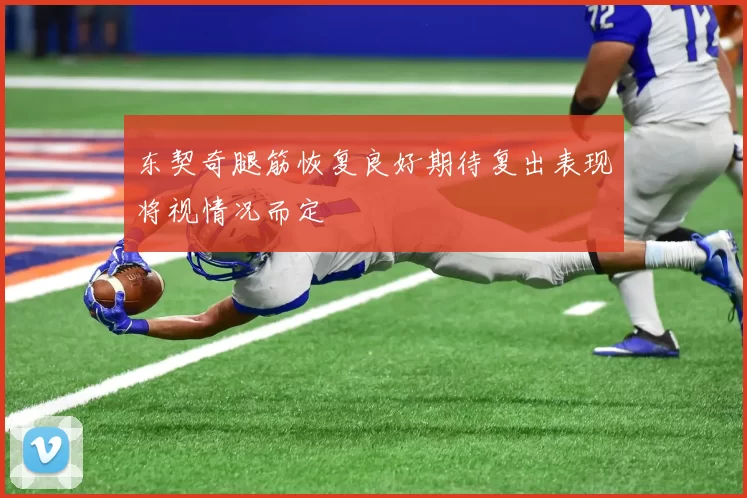 东契奇腿筋恢复良好期待复出表现将视情况而定