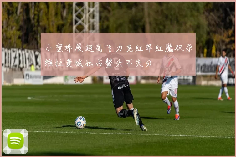 小蜜蜂展翅高飞力克红军红魔双杀维拉曼城独占鳌头不失分