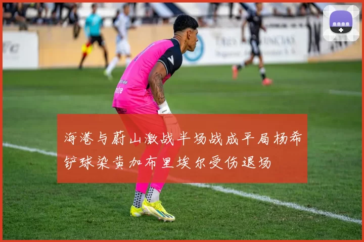 海港与蔚山激战半场战成平局杨希铲球染黄加布里埃尔受伤退场